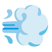 Dash / Cloud-Of-Wind Emoji